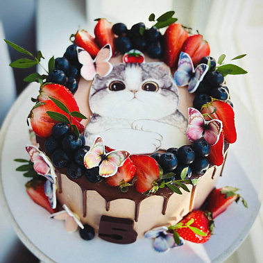 Торт "Котенок" купить - пенза.сладкоежкин.рф